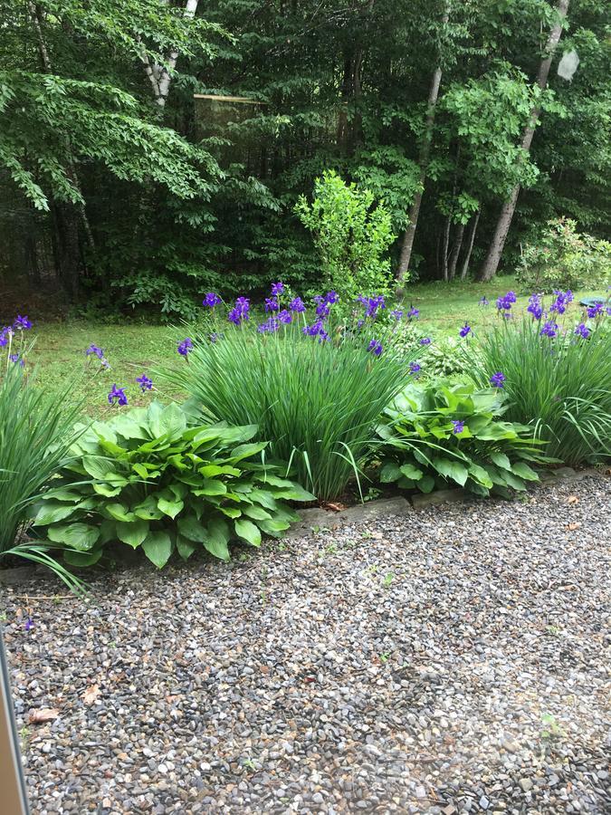 Blueberry Fields Bed & Breakfast Jefferson Eksteriør bilde